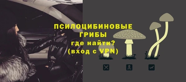 дмт Аркадак