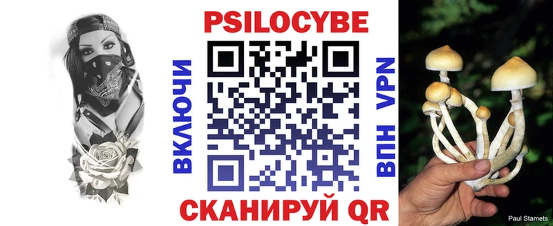 Псилоцибиновые грибы Magic Shrooms Сочи